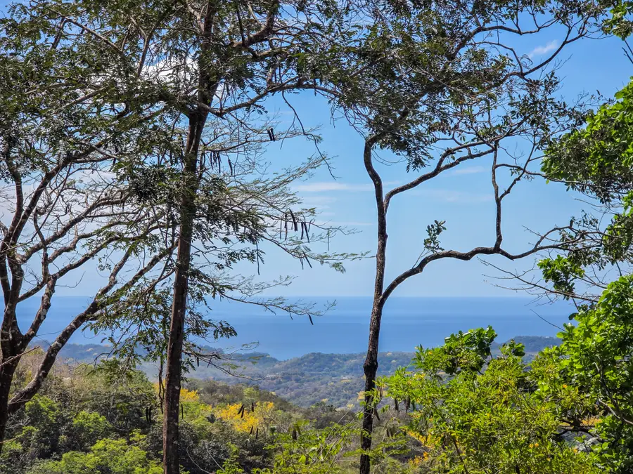 Address Withheld By Seller, Silver City, NM 88061 - #2