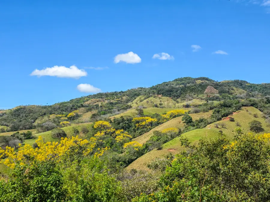 Address Withheld By Seller, Silver City, NM 88061 - #3