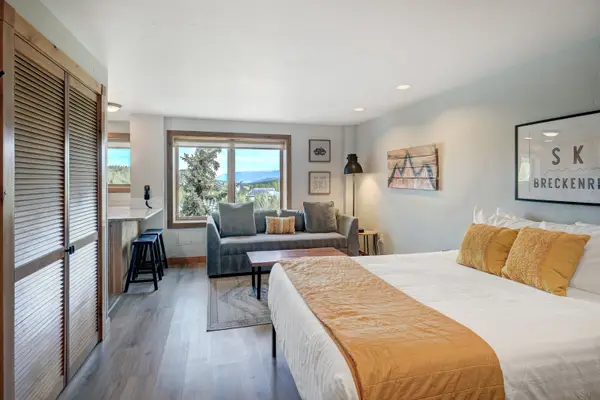 535 S Park Avenue #317, Breckenridge, CO 80424