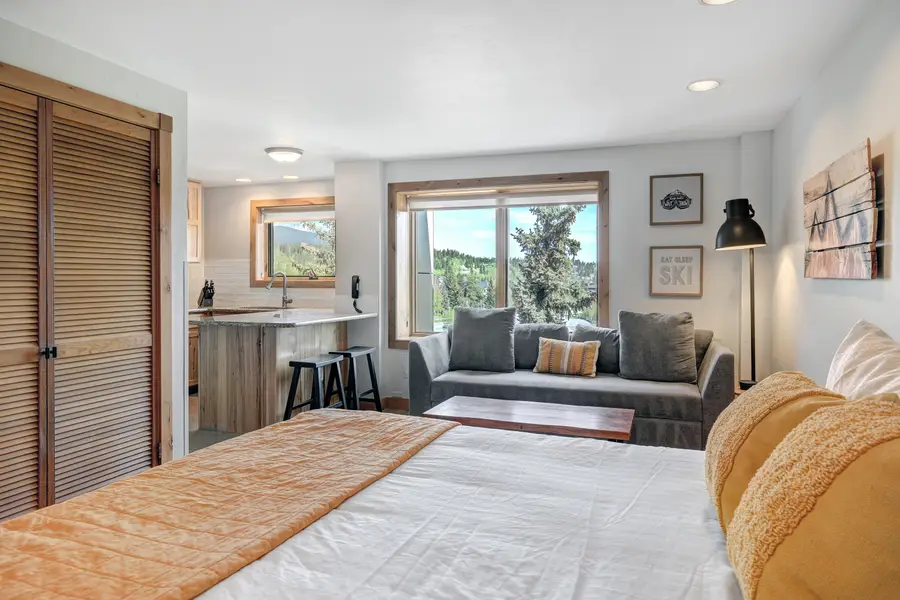 535 S Park Avenue #317, Breckenridge, CO 80424 - #3