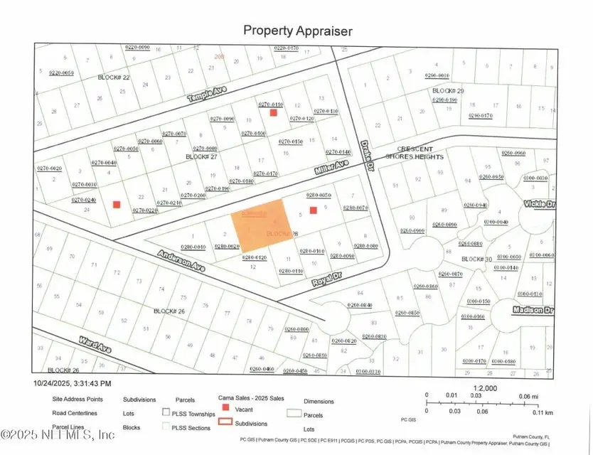 207 Miller Avenue, Crescent City, FL 32112 - Image #3