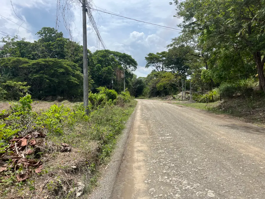 Magnolia, Ramona, CA 92065 - Image #3