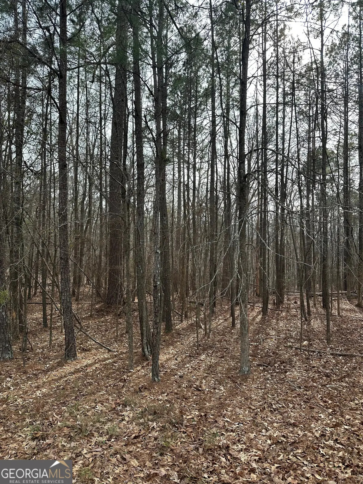 0 Tussahaw Point Drive, Jackson, GA 30233 - #1