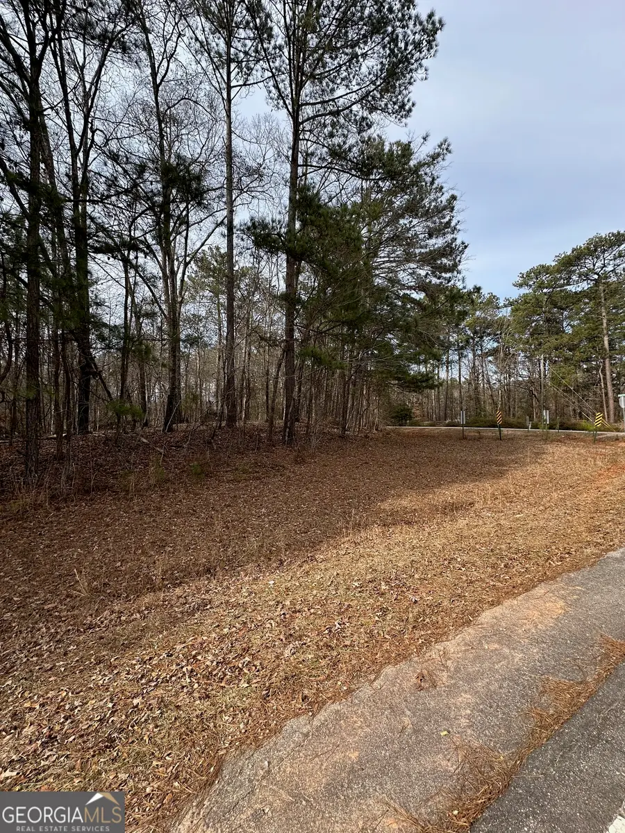 0 Tussahaw Point Drive, Jackson, GA 30233 - #3