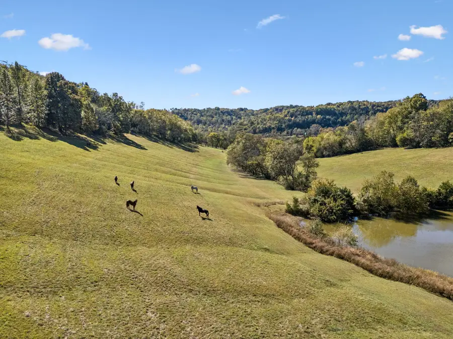 2846 Fuller Hollow Rd, Cornersville, TN 37047 - #2