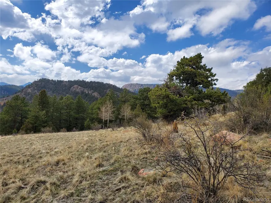 663 Brookside Drive, Bailey, CO 80421 - #2