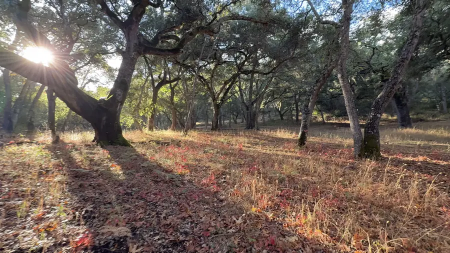 9 Garzas (lot 49) Trail, Carmel, CA 93923 - #2