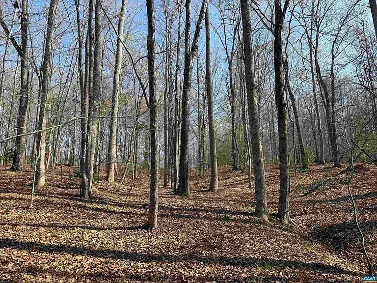 0 Paynes Pond Road, Scottsville, VA 24590 - #2