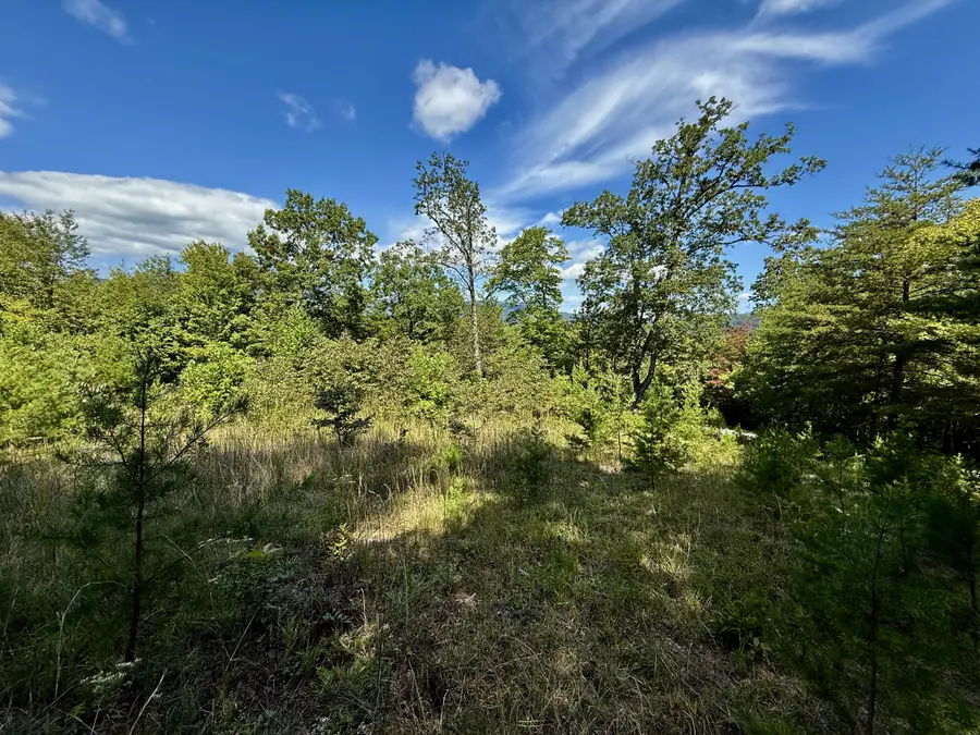 0 Hibiscus Court #5, Lake Lure, NC 28746 - Image #2