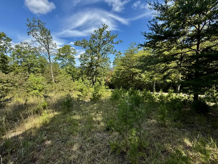 0 Hibiscus Court #5, Lake Lure, NC 28746 - Image #3