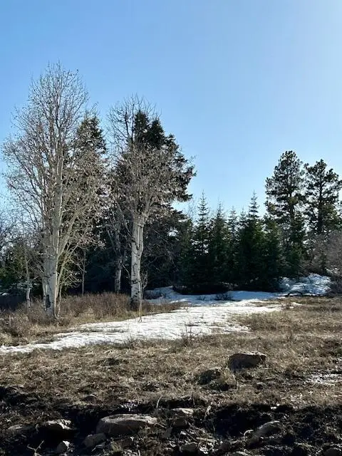 245 N Whispering Pines Rd, Kolob, UT 84767 - #1