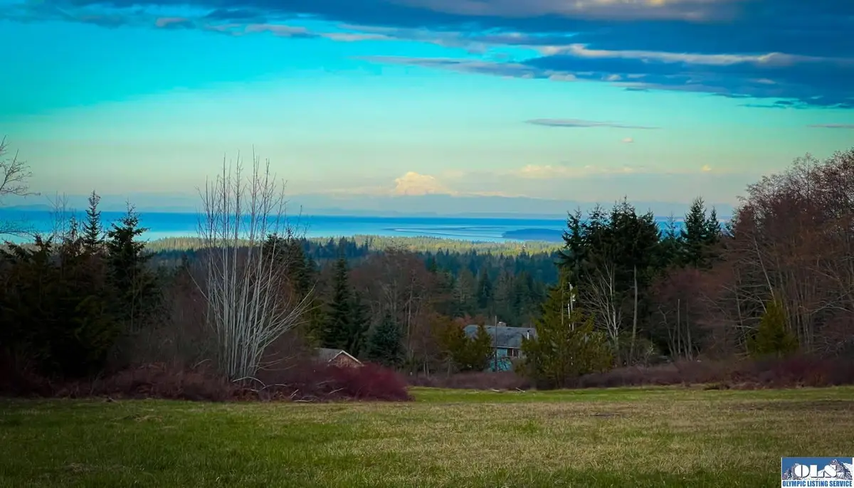 404 Black Bear Trail, Port Angeles, WA 98362 - #1