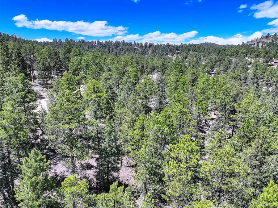 456 Lo Meadow Lane, Bailey, CO 80421 - Image #2