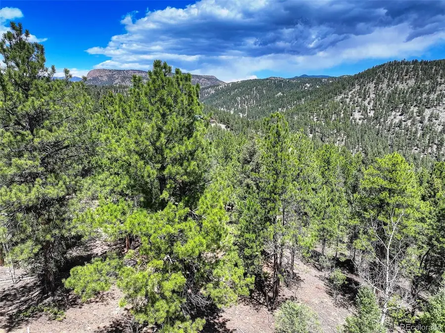 456 Lo Meadow Lane, Bailey, CO 80421 - Image #3