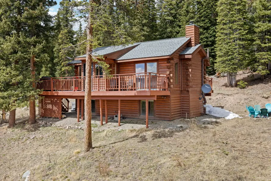 231 Kimmes Lane, Breckenridge, CO 80424 - #3
