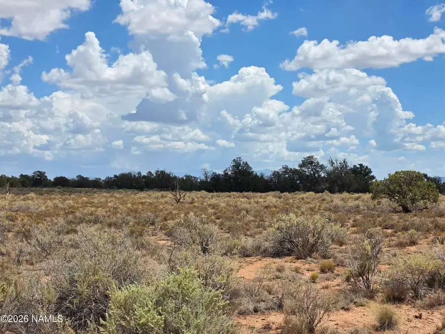 955 S San Mateo Road, Williams, AZ 86046 - #2