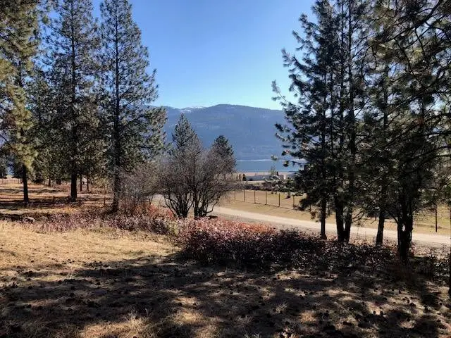 6 Parkview Dr, Kettle Falls, WA 99141 - #1