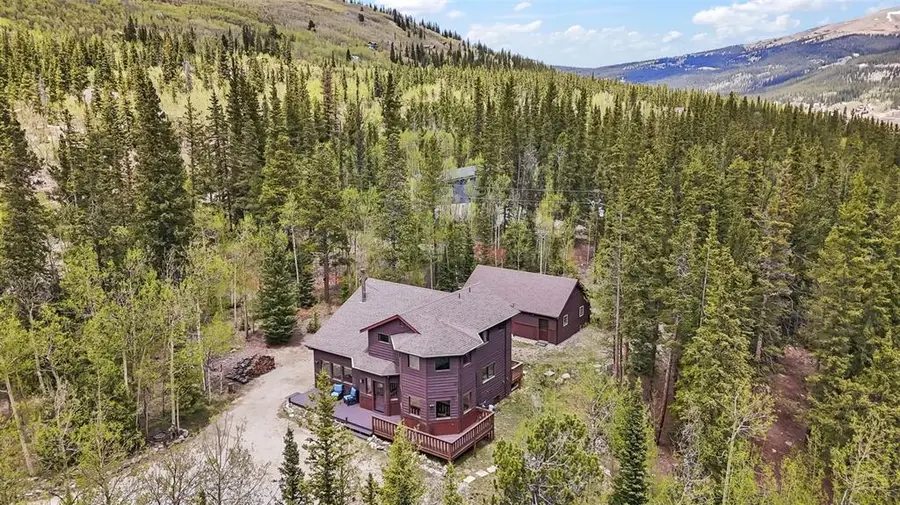 366 Quartzville Road, Alma, CO 80420 - #2