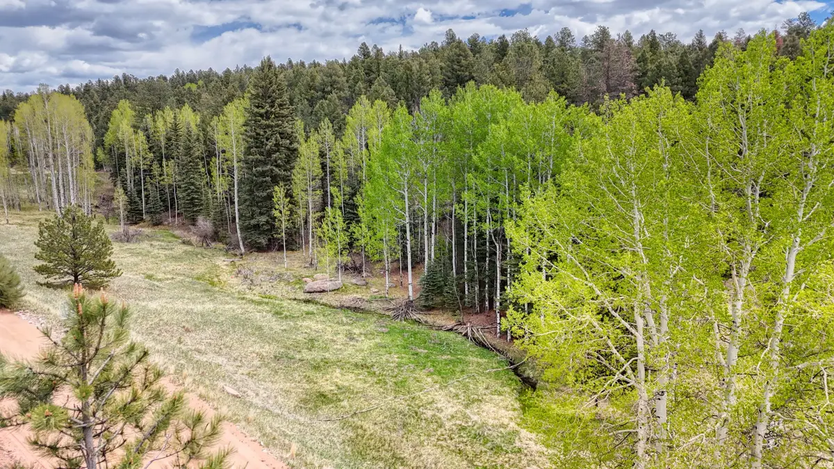 42 Rabbit Circle, Florissant, CO 80816 - #1