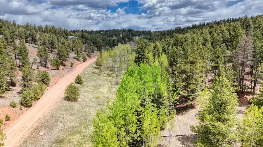 42 Rabbit Circle, Florissant, CO 80816 - #2