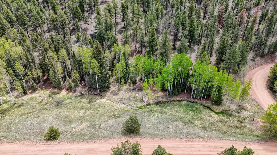 42 Rabbit Circle, Florissant, CO 80816 - #3
