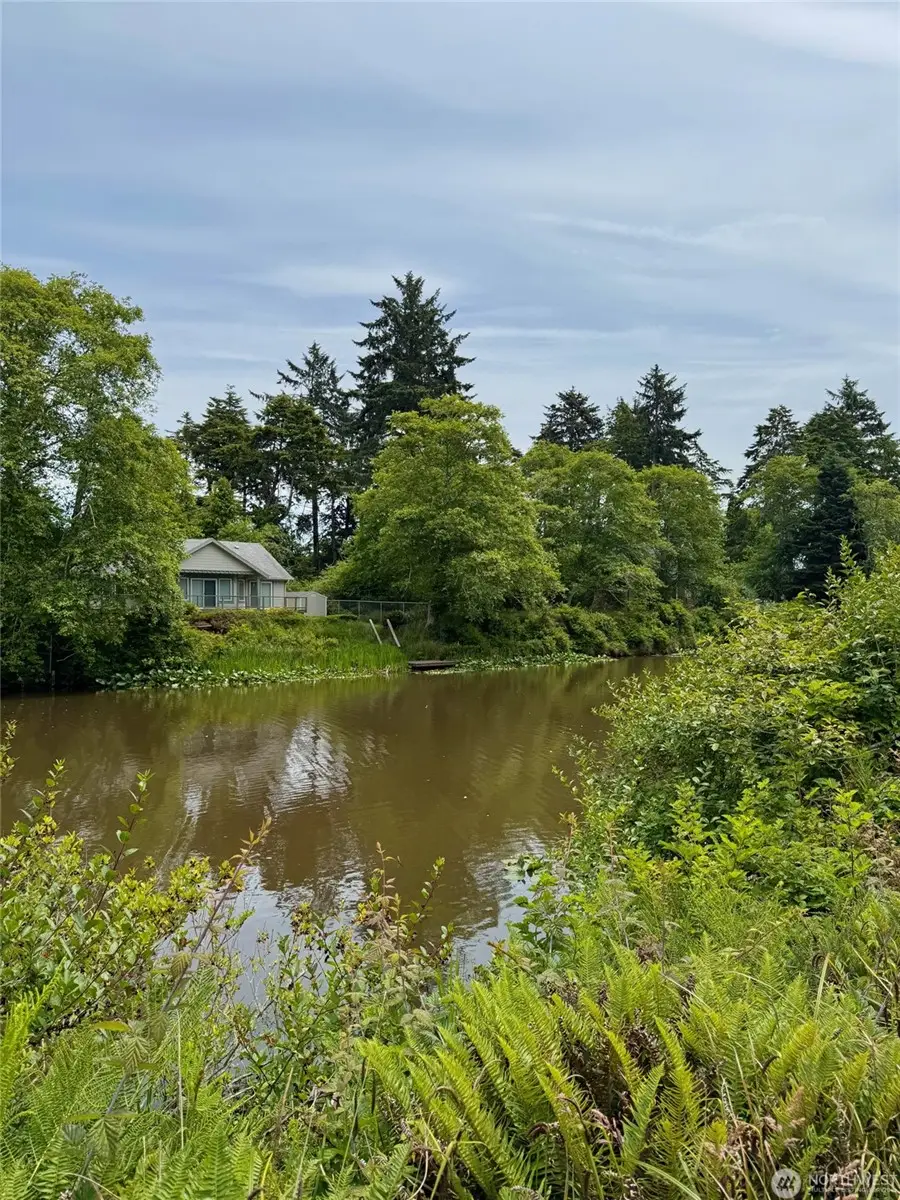 430 Dolphin Avenue Se #616, Ocean Shores, WA 98569 - Image #3