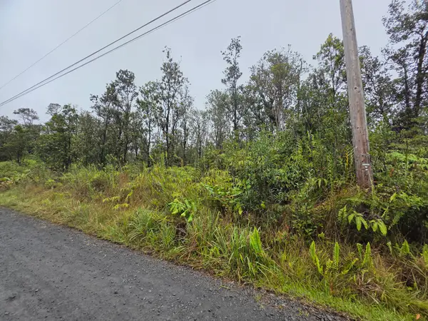 Makoa Rd, Volcano, HI 96785