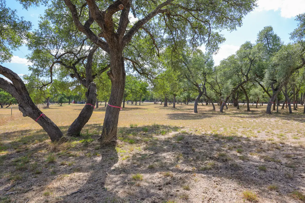 1301 Sandy Point Rd, Wimberley, TX 78676 - Image #1