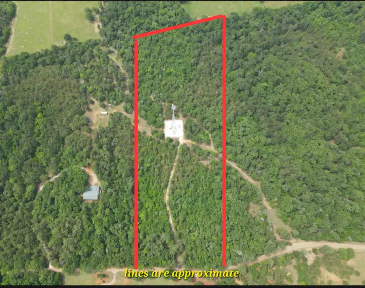 TBD 16 +/- AC Vz County Road 4814, Ben Wheeler, TX 75754 - #1