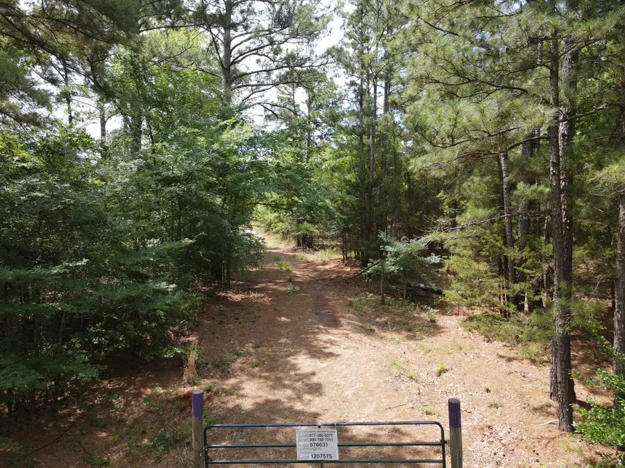 TBD 16 +/- AC Vz County Road 4814, Ben Wheeler, TX 75754 - #2