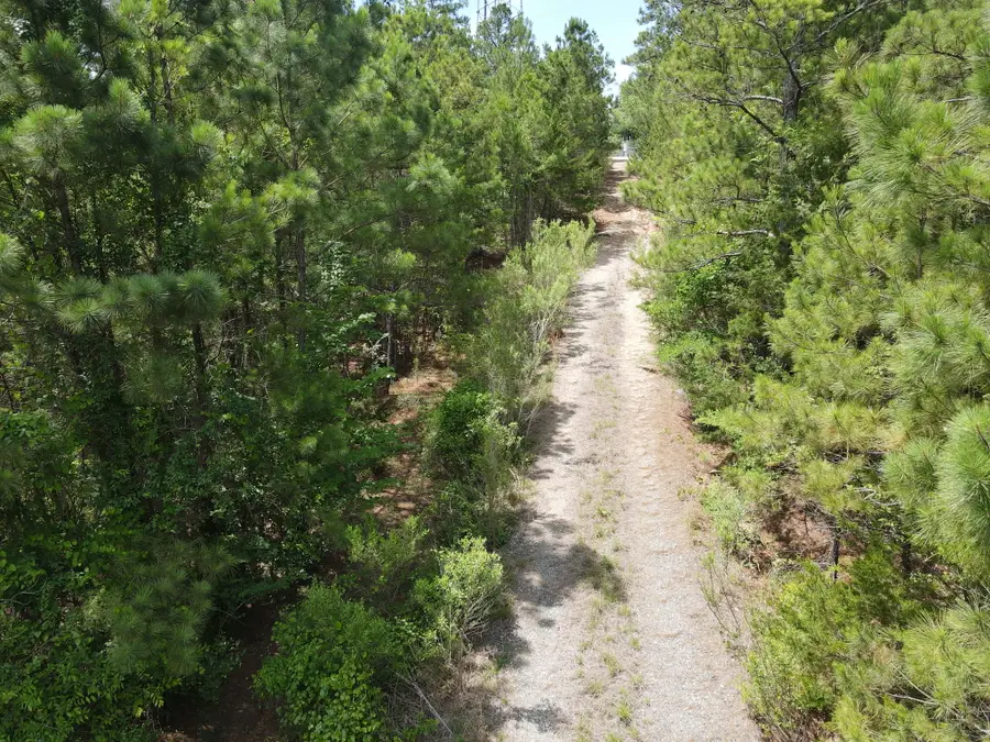 TBD 16 +/- AC Vz County Road 4814, Ben Wheeler, TX 75754 - #3