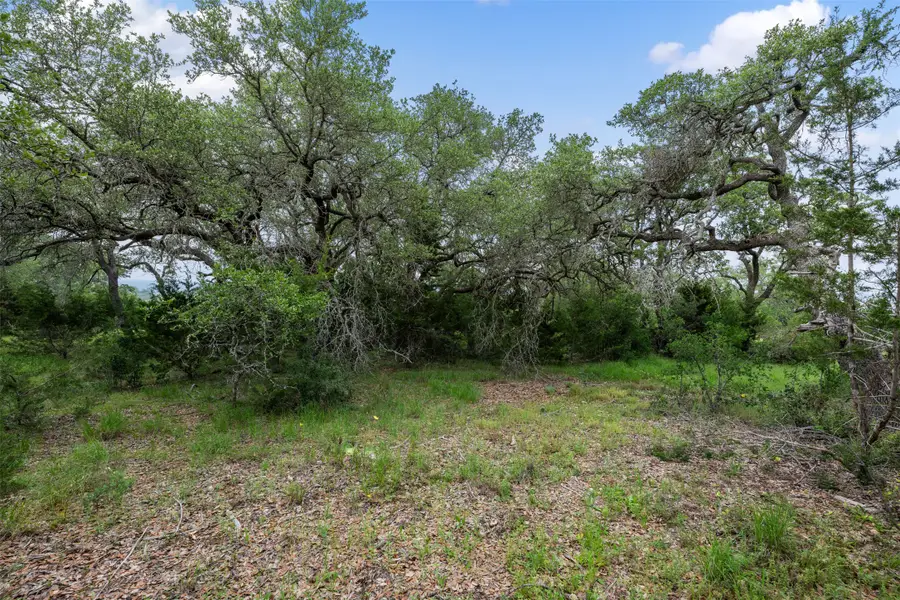 155 SW Crosswater Ln, Dripping Springs, TX 78620 - #2