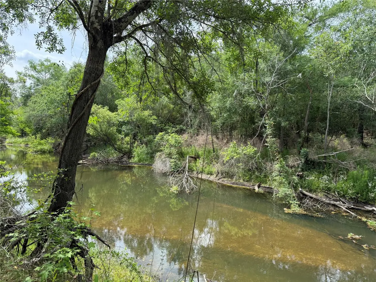 3205 Park Dr, Dade City, FL 33523 - #1