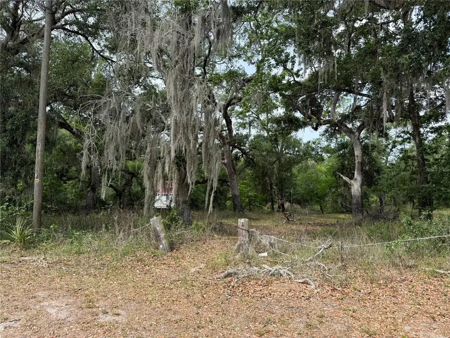 3205 Park Dr, Dade City, FL 33523 - #3