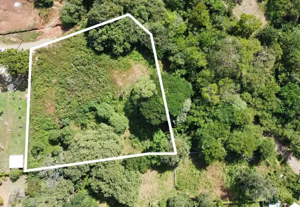 Tbd, Twin Lakes, CO 81251