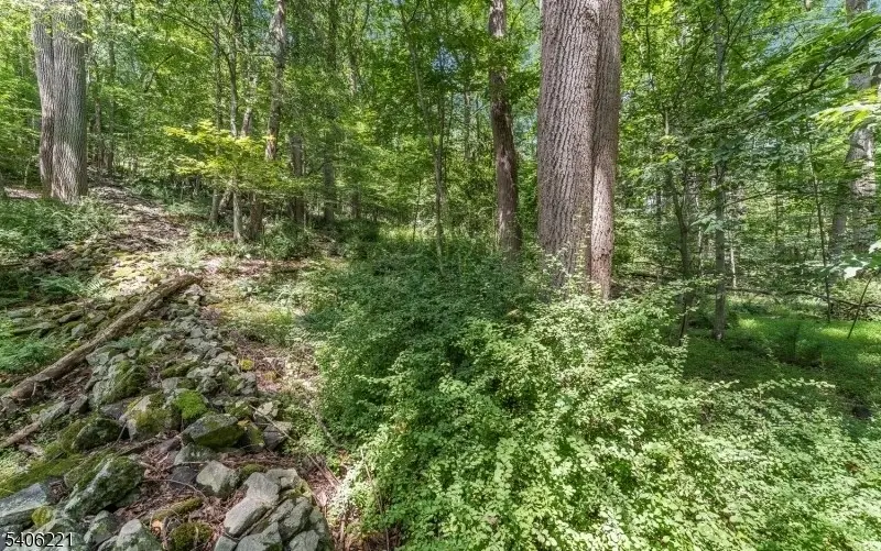 Sweet Hollow Road, Holland, NJ 08848 - Image #1