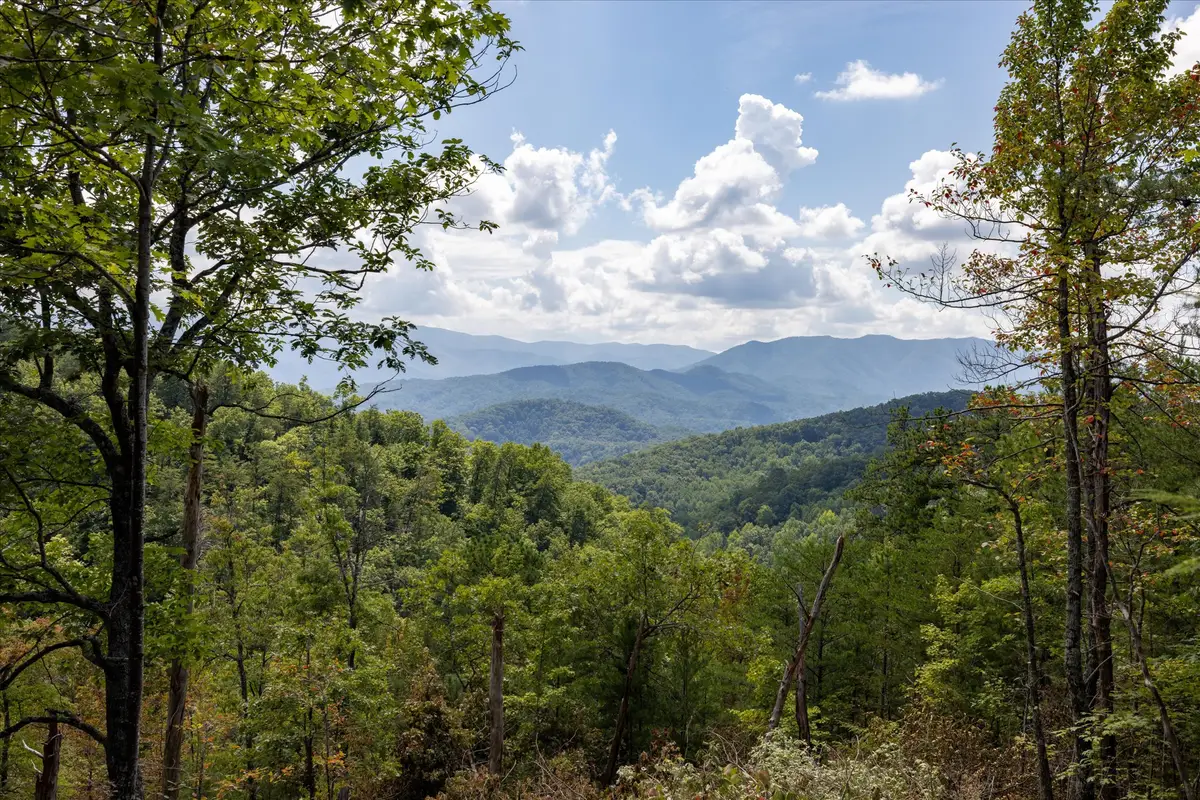 1080 Hembree Hollow Rd, Townsend, TN 37882 - #1