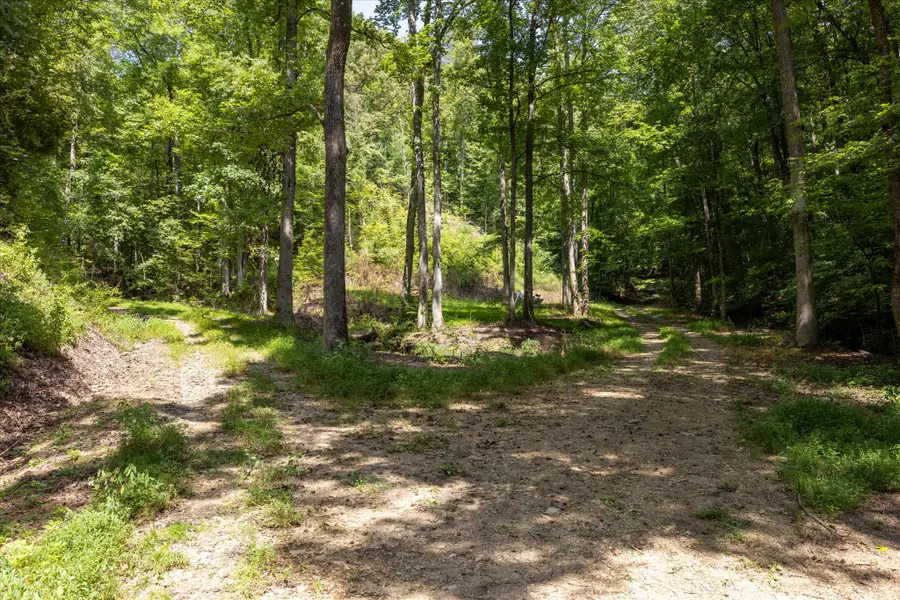 1080 Hembree Hollow Rd, Townsend, TN 37882 - #2