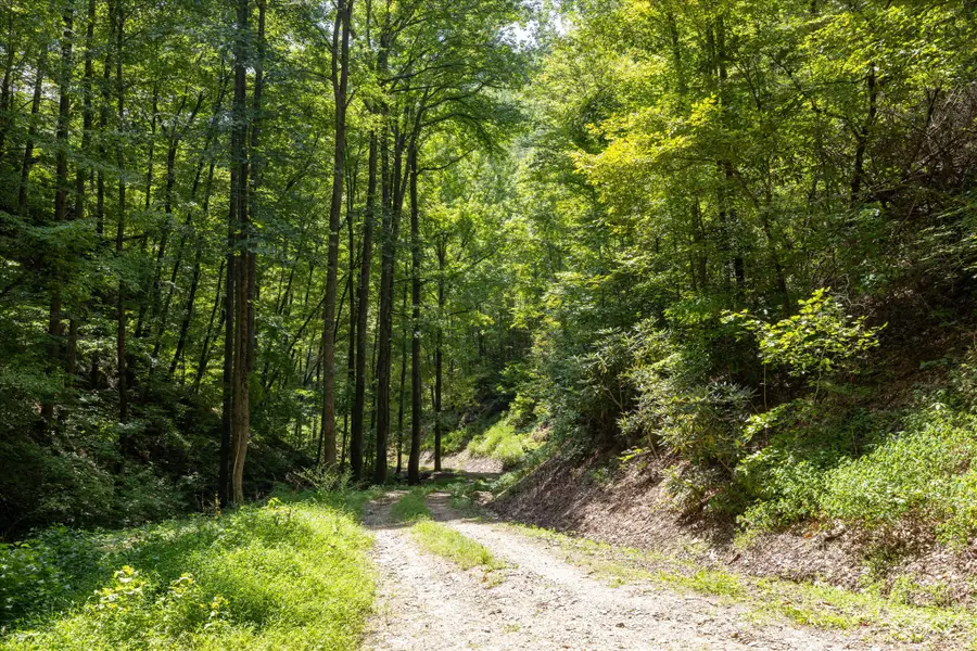 1080 Hembree Hollow Rd, Townsend, TN 37882 - #3