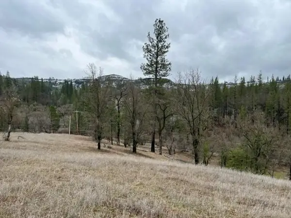 5252 S Railroad Flat Road, Mountain Ranch, CA 95246