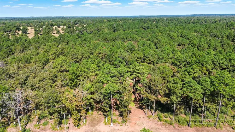 60 County Road 114, Centerville, TX 75833 - #3