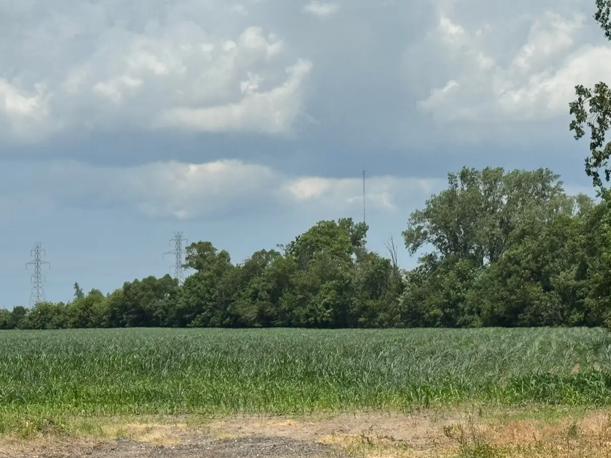 31890 Edison Road, New Carlisle, IN 46552 - #1