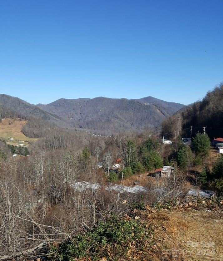 0 Soco Road, Maggie Valley, NC 28751 BHGRE