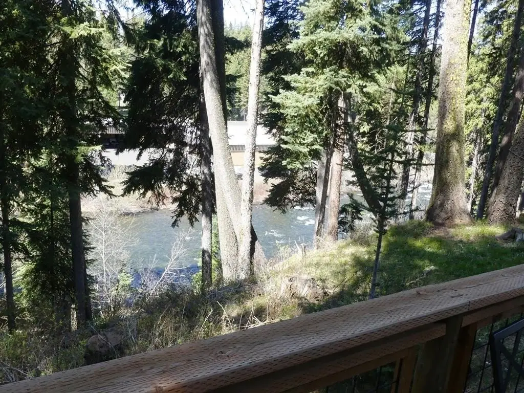 411 Rio Vista Blvd, McCall, ID 83638 - #1