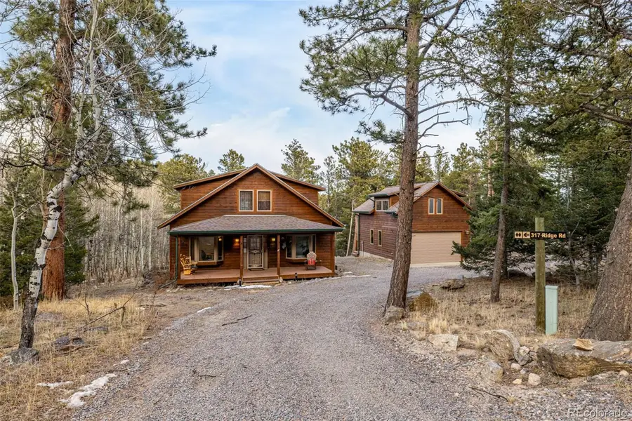 317 Ridge Road, Ward, CO 80481 - #3