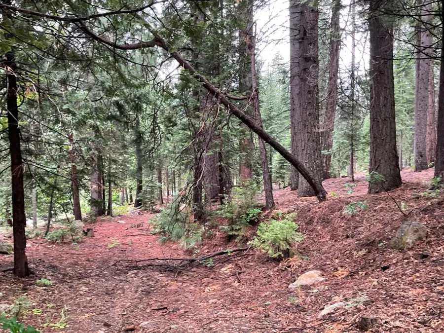 1526 Seminole, Arnold, CA 95223 - Image #3