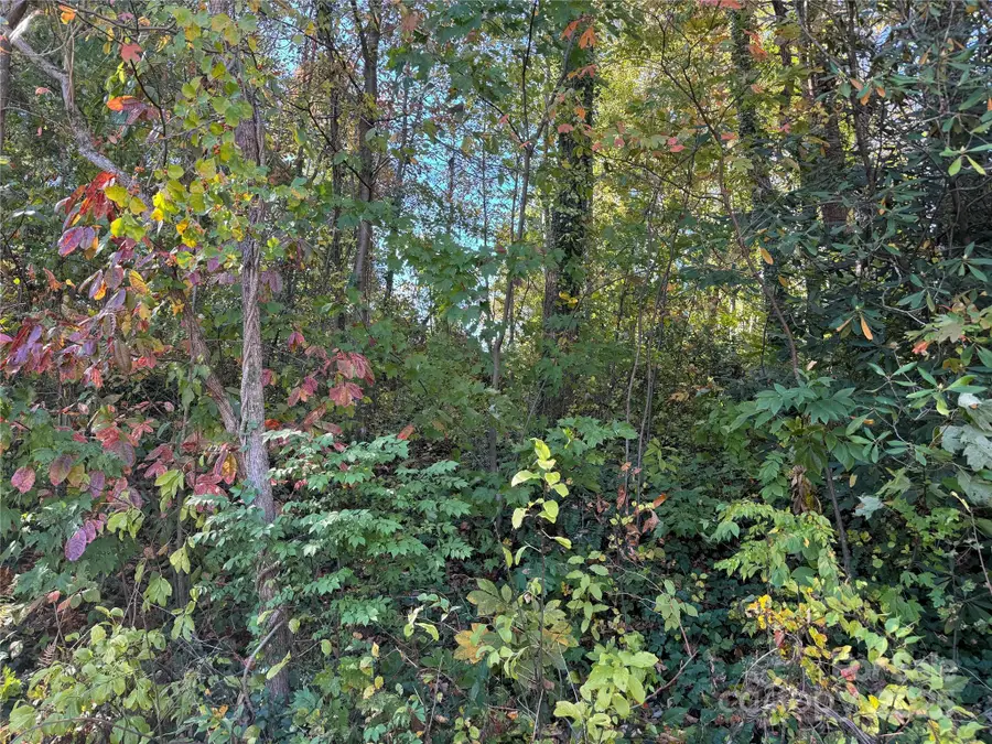 00 Upper Ridgewood Boulevard, Hendersonville, NC 28739 - #3