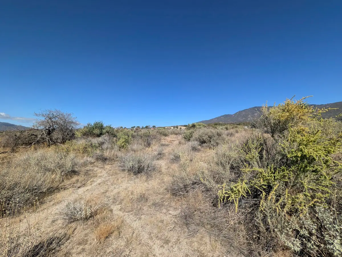 0 Old Forest Road, Anza, CA 92539 - #1