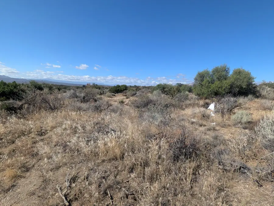 0 Old Forest Road, Anza, CA 92539 - #3