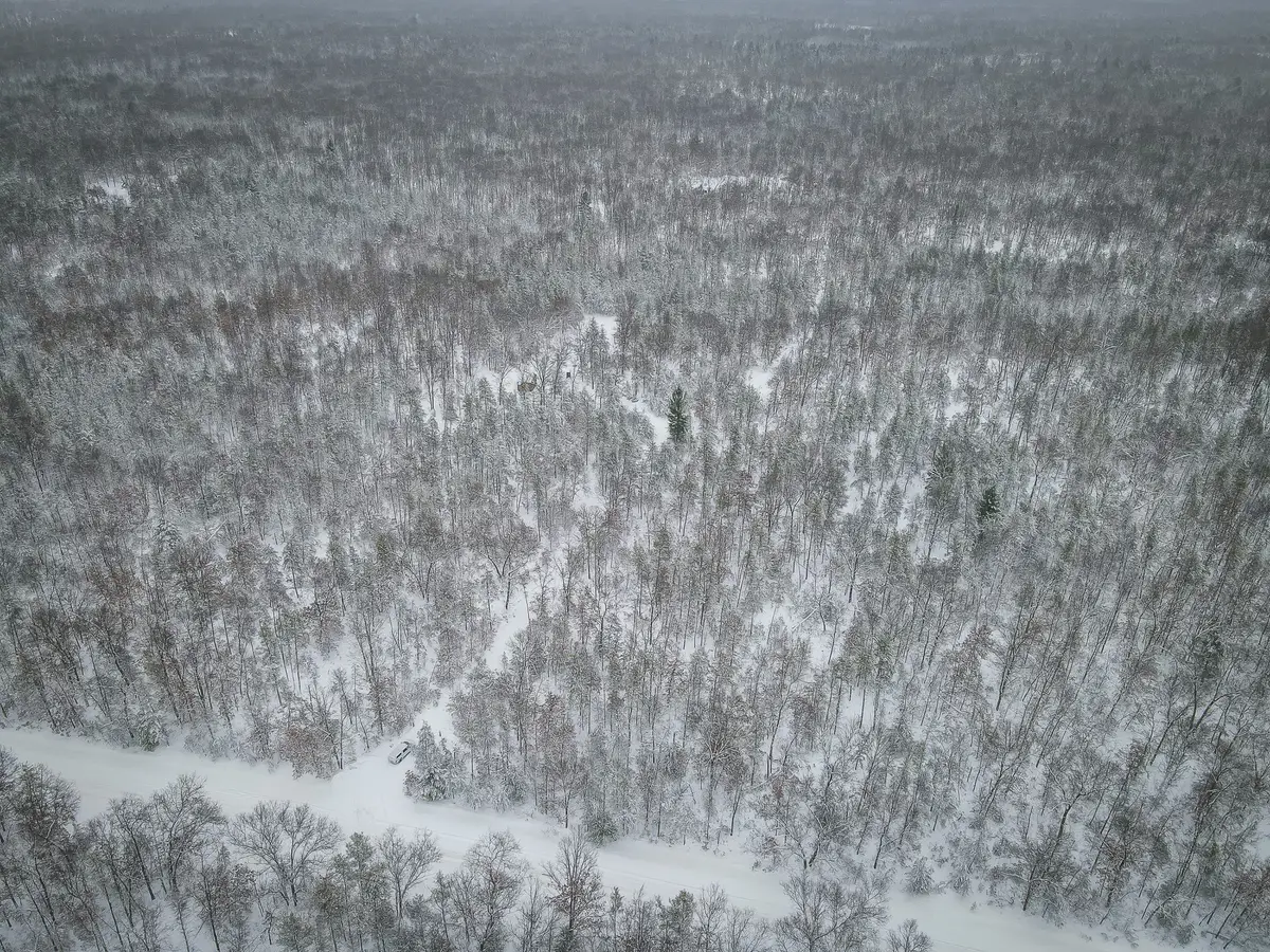 V/L Rybicki Road, Free Soil, MI 49411 - Image #1